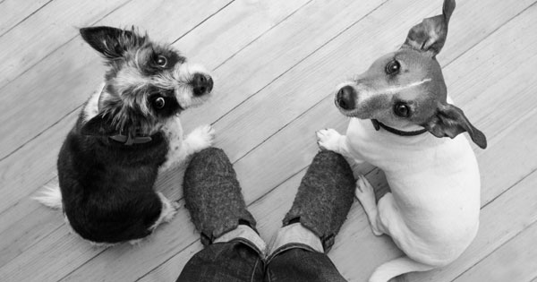 Can your choice of marketing channel affect loyalty