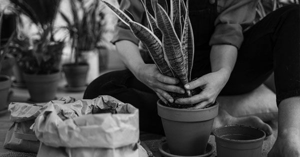 Growth Hacking what are marketing OKRs ICE and North Star Metric