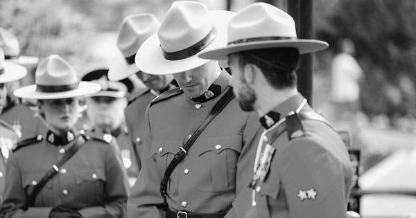 What can these guys teach you about opt-in marketing